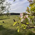 Kleine Auszeit Mit Privater Sauna * Erkheim