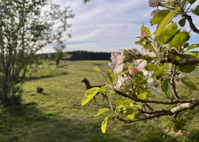 Kleine Auszeit Mit Privater Sauna * Erkheim